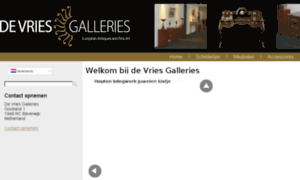 Devriesgalleries.eu thumbnail