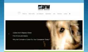 Dfwcollierescue.org thumbnail