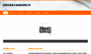 Dgzhensheng.cn thumbnail