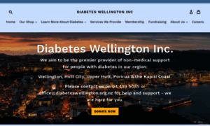 Diabeteswellington.org.nz thumbnail