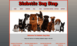 Diabeticdogstop.co.uk thumbnail