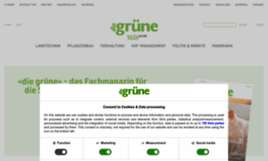 Diegruene.ch thumbnail