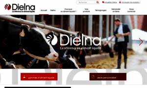 Dielna.fr thumbnail