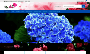 Dienhoatuoi365.com thumbnail