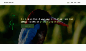 Dierengezondheidscentrum.nl thumbnail