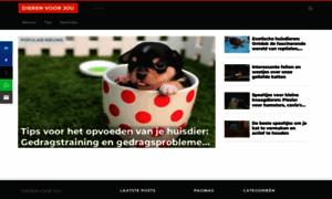Dierenvoorjou.nl thumbnail