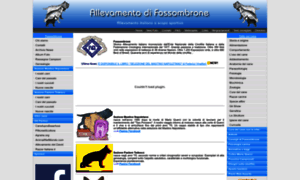 Difossombrone.it thumbnail