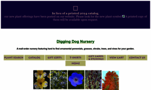 Diggingdog.com thumbnail