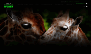 Digi-animalworld.tv thumbnail