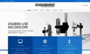 Digibird.co.kr thumbnail