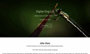 Digitaldog.co.nz thumbnail