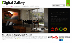 Digitalgallery.co.za thumbnail