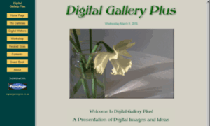 Digitalgalleryplus.co.uk thumbnail