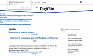 Digitbin.sitetorrent.com thumbnail