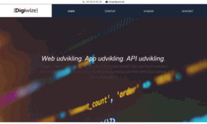 Digiwize.dk thumbnail