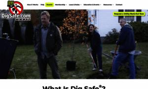 Digsafe.com thumbnail