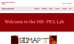 Dill-picl.org thumbnail