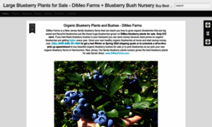 Dimeoblueberryfarms.blogspot.com thumbnail