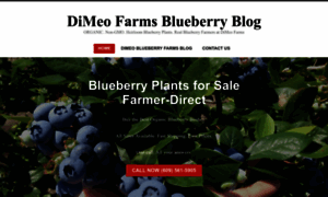 Dimeoblueberryfarms.com thumbnail