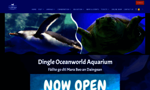 Dingle-oceanworld.ie thumbnail