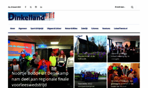 Dinkellandvisie.nl thumbnail