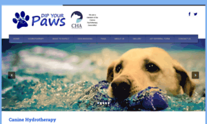 Dipyourpaws.co.uk thumbnail