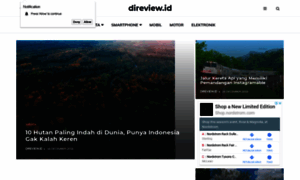 Direview.id thumbnail