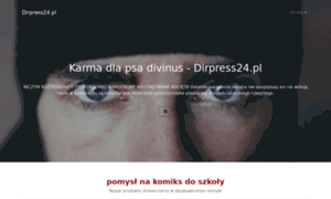 Dirpress24.pl thumbnail