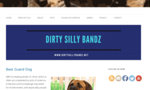 Dirtysillybandz.net thumbnail