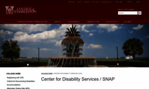 Disabilityservices.cofc.edu thumbnail