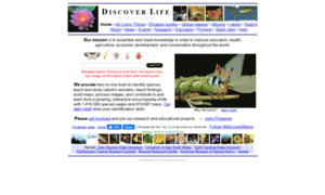 Discoverlife.org thumbnail