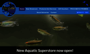 Discoveryaquatics.co.uk thumbnail