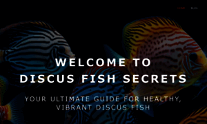 Discus-fish-secrets.com thumbnail