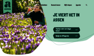 Ditisassen.nl thumbnail