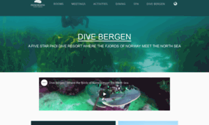 Divebergen.no thumbnail
