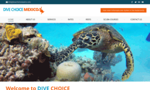 Divechoicecozumel.com thumbnail