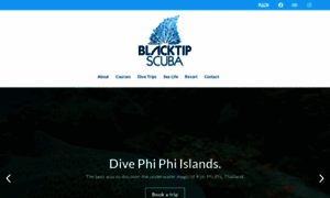 Divephiphiisland.com thumbnail