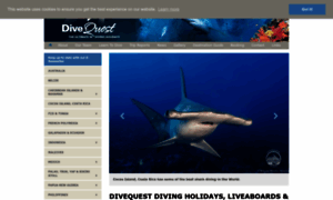Divequest-divingholidays.com thumbnail