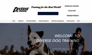 Diversedogtraining.com thumbnail