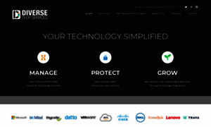 Diversetechservices.com thumbnail