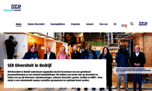 Diversiteitinbedrijf.nl thumbnail