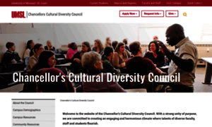 Diversity.umsl.edu thumbnail