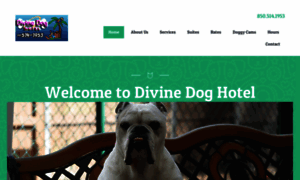 Divinedoghotel.com thumbnail