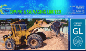 Divingandsalvaging.com thumbnail