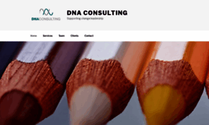 Dna-consulting.co.za thumbnail