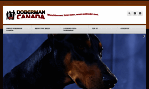 Dobermancanada.com thumbnail