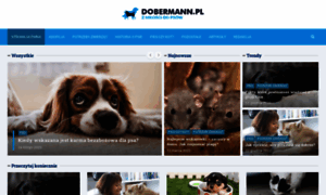 Dobermann.pl thumbnail