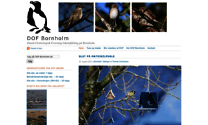 Dof-bornholm.dk thumbnail