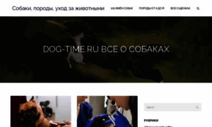 Dog-time.ru thumbnail