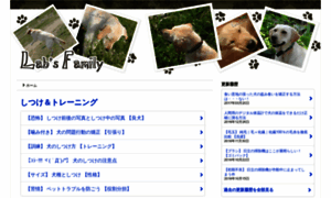 Dog.user-infomation.com thumbnail